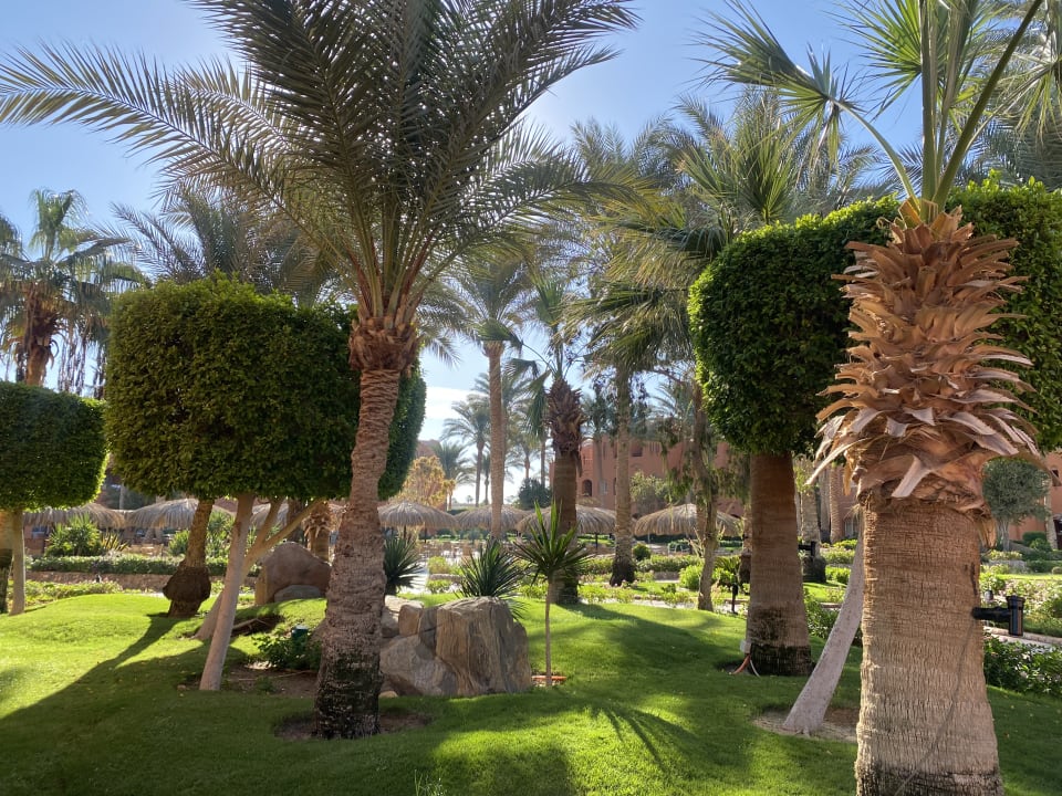 Gartenanlage Jaz Makadi Oasis Resort