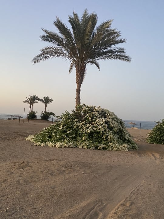 Strand Bliss Nada Beach Resort