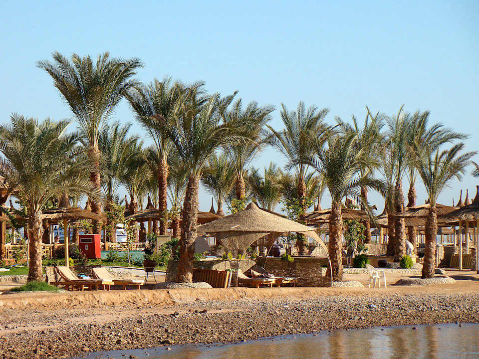 Пляж Pickalbatros Palace Resort