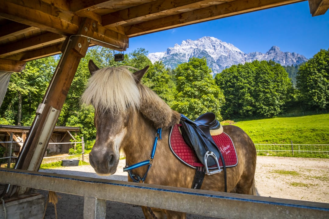 Sport & Freizeit Millinghof