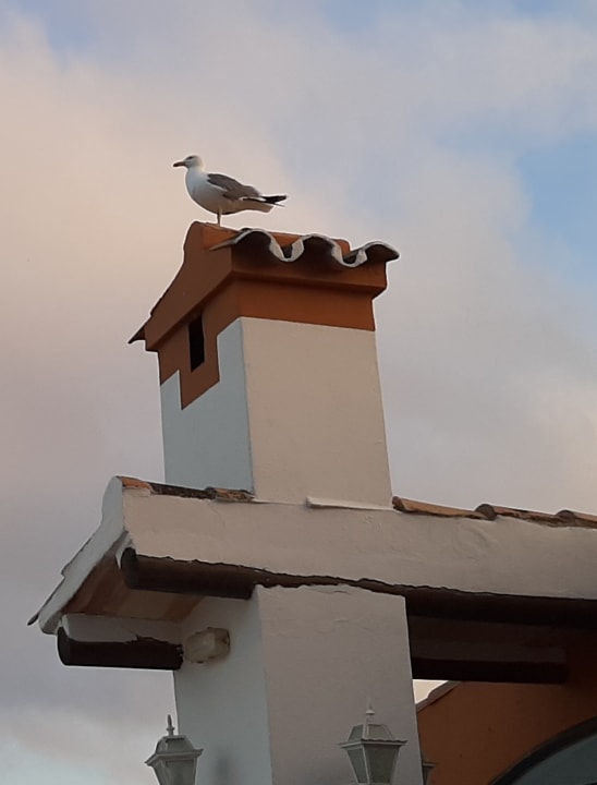 Sonstiges Hotel Aldea Cala Fornells 2