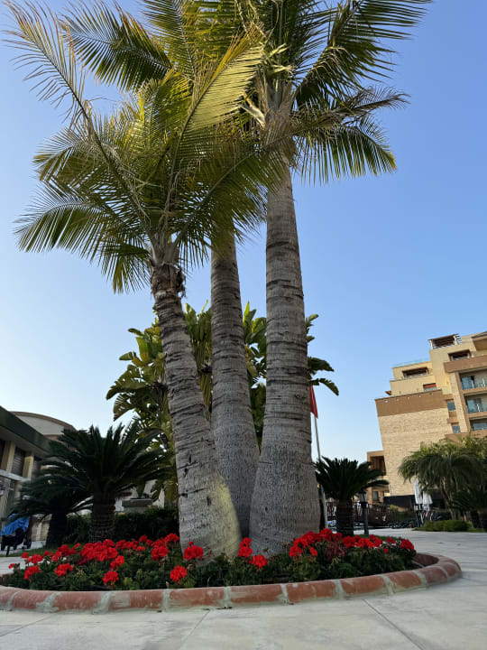 Gartenanlage Sunis Kumköy Beach Resort Hotel & Spa