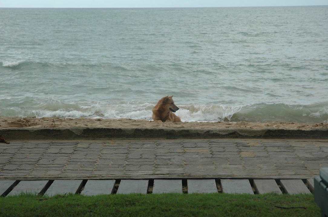 Strand Khao Lak Merlin Resort