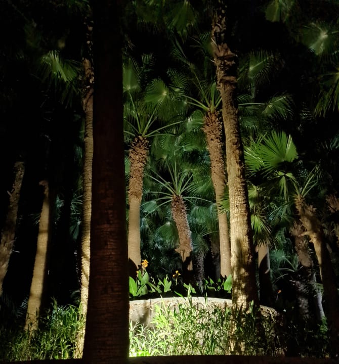 Gartenanlage Hotel Riu Funana