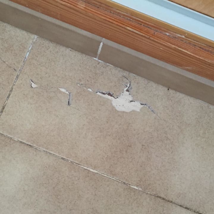 Löcher im Fußboden Globales Bouganvilla