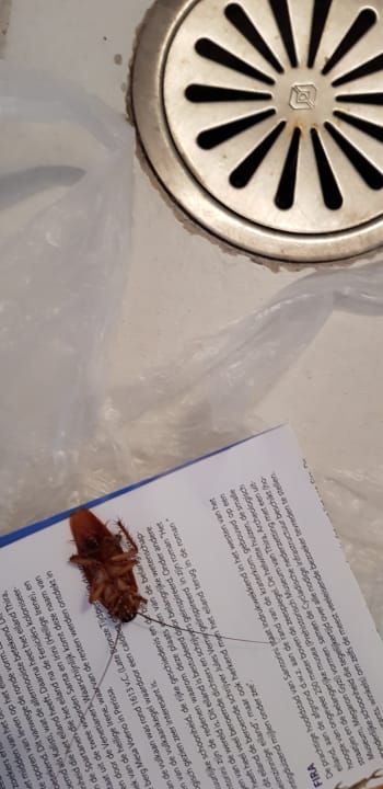 Zimmer Hotel La Palma