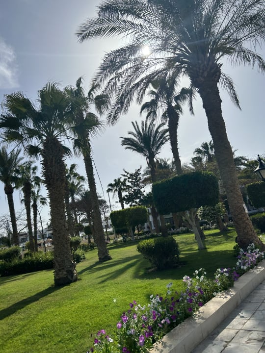 Gartenanlage The Grand Hotel Hurghada