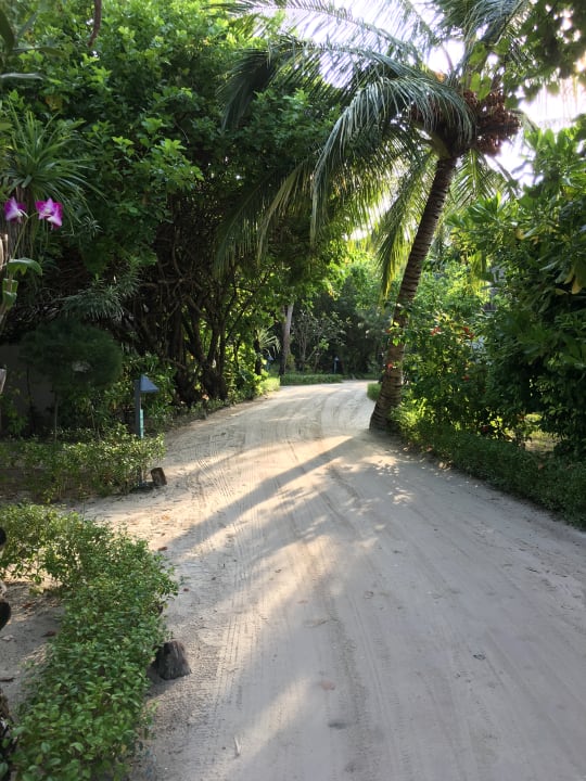 Außenansicht LUX South Ari Atoll