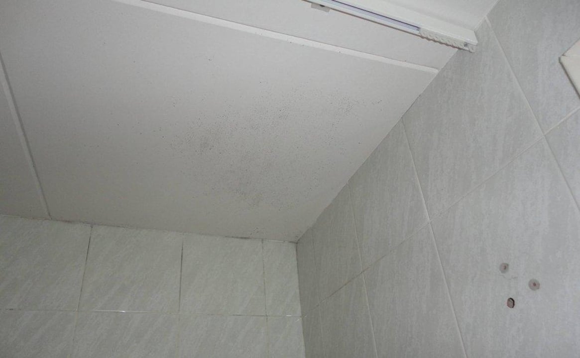 Verschimmelte Badedecke Zimmer 3343 Cleopatra Spa Hotel