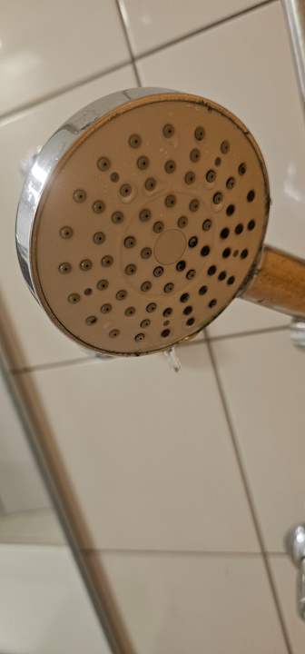 Zimmer Bull Dorado Beach & Spa