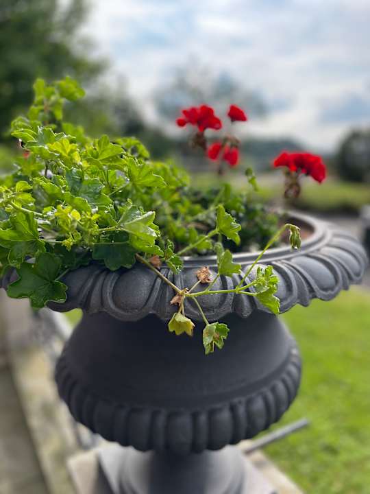 Gartenanlage Le Palais Art Hotel