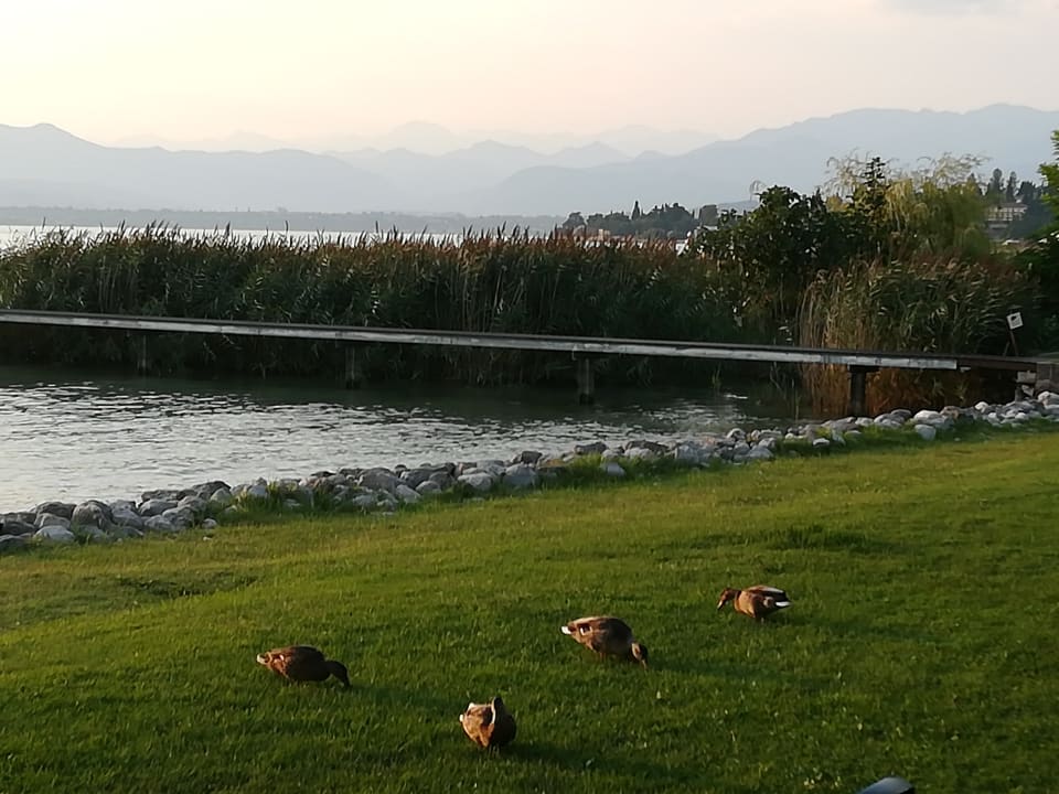 Strand Hotel La Paül