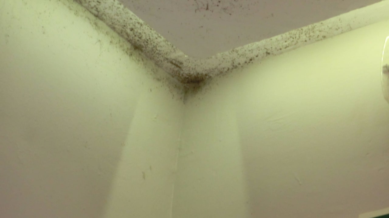 Schimmel "Guten Appetit" Los Olivos Beach Resort