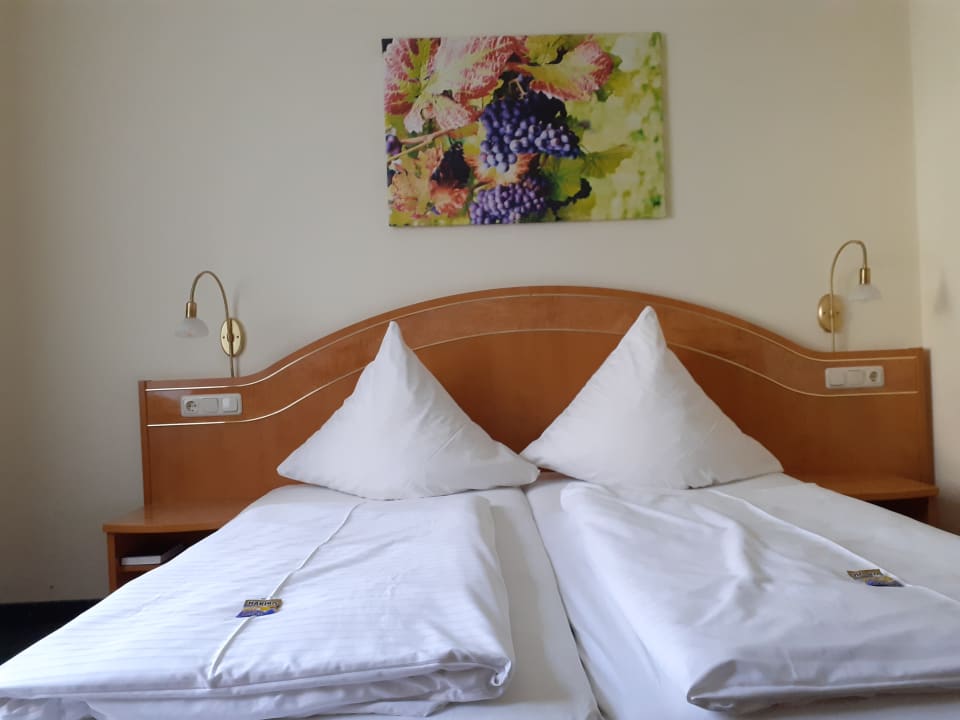 Zimmer Moselstern Hotel Brixiade & Triton