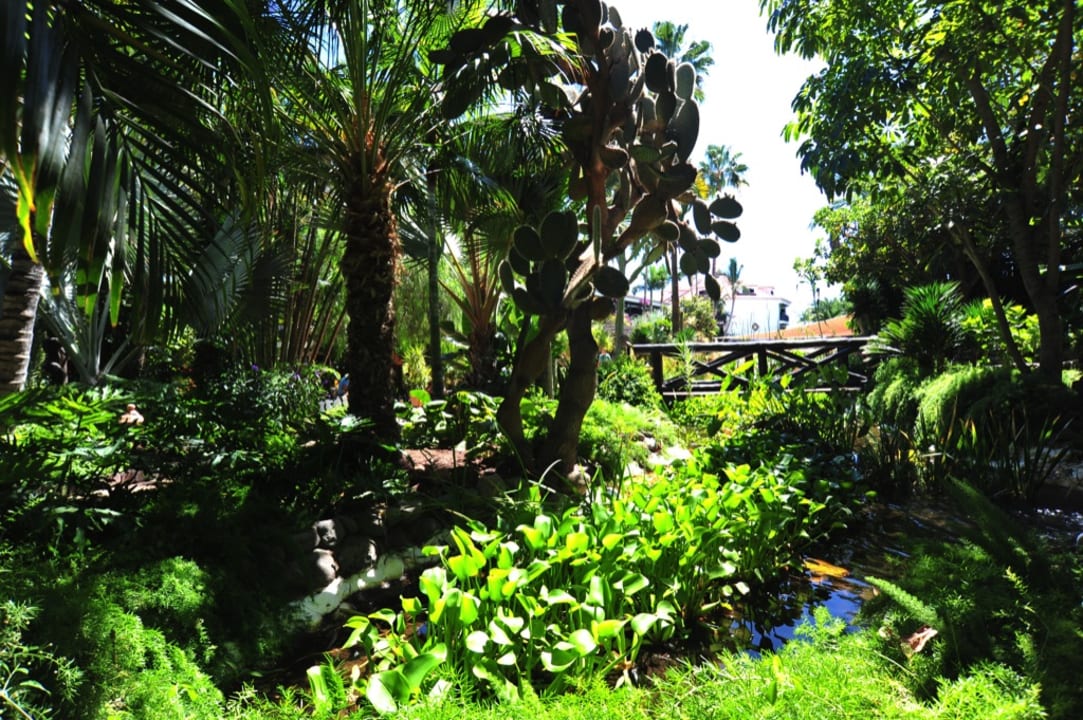 Gartenanlage Hotel Parque Tropical