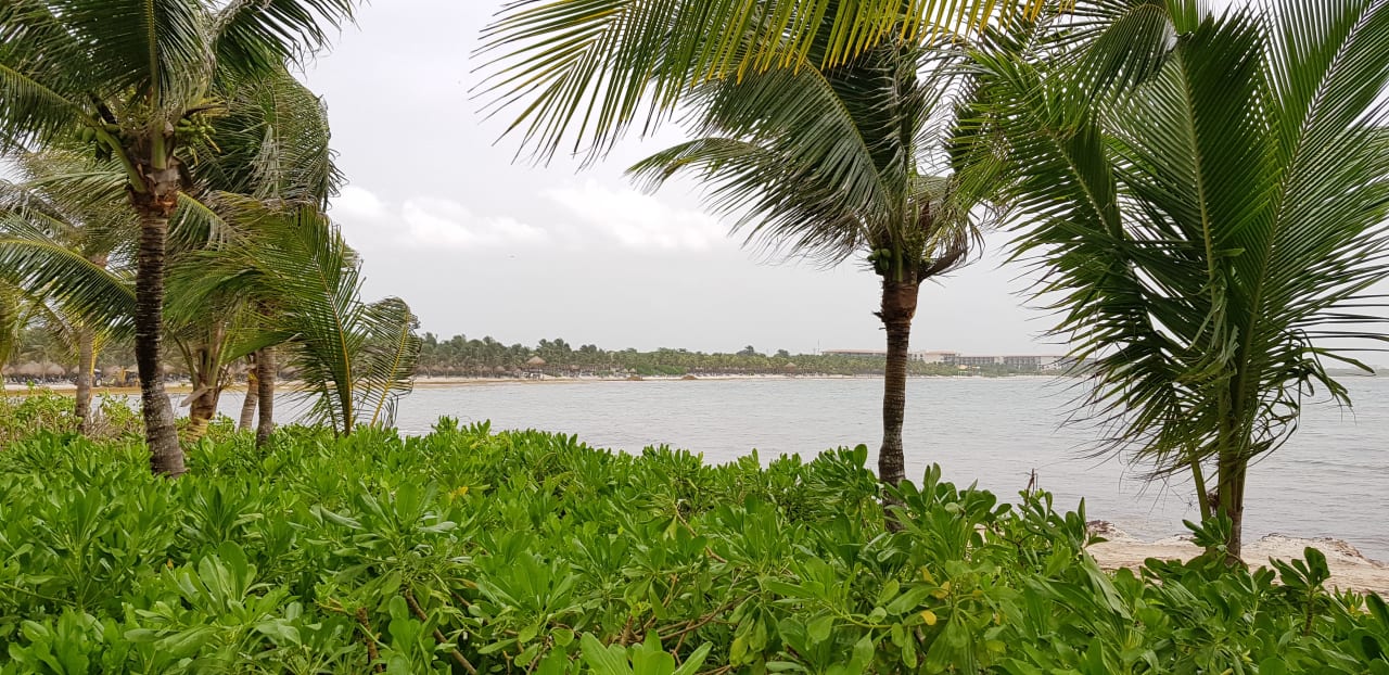 Ausblick TRS Yucatan Hotel - Adults only