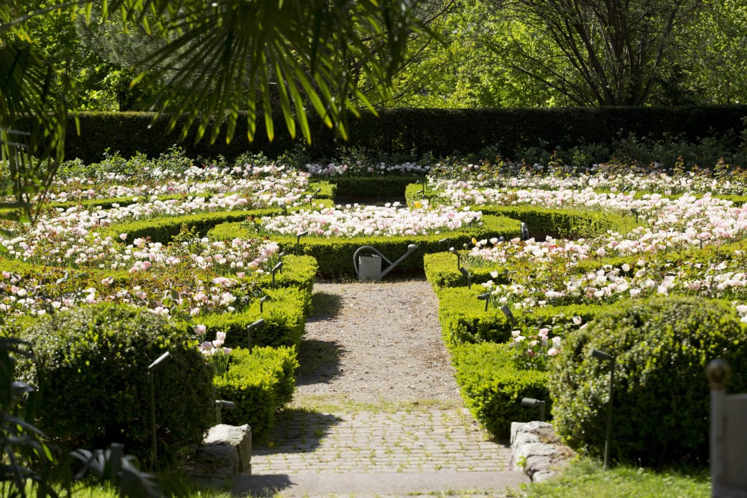Ein herrlich sonniger Garten! Hotel Villa Irma