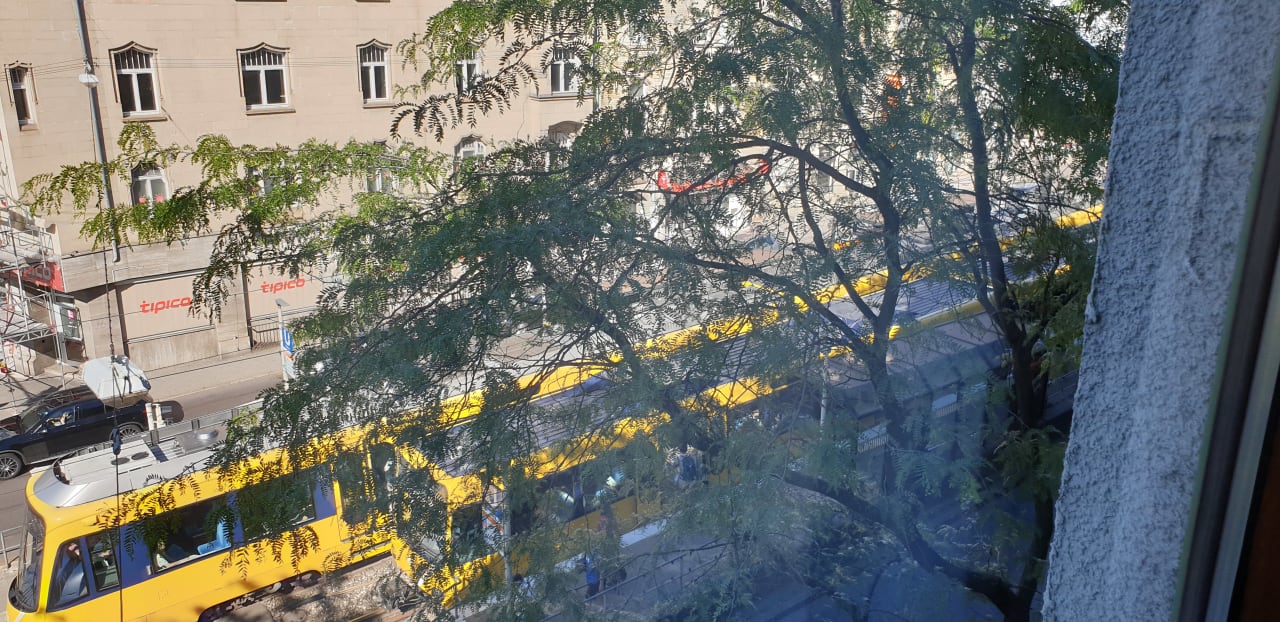 Ausblick Hotel Olgaeck