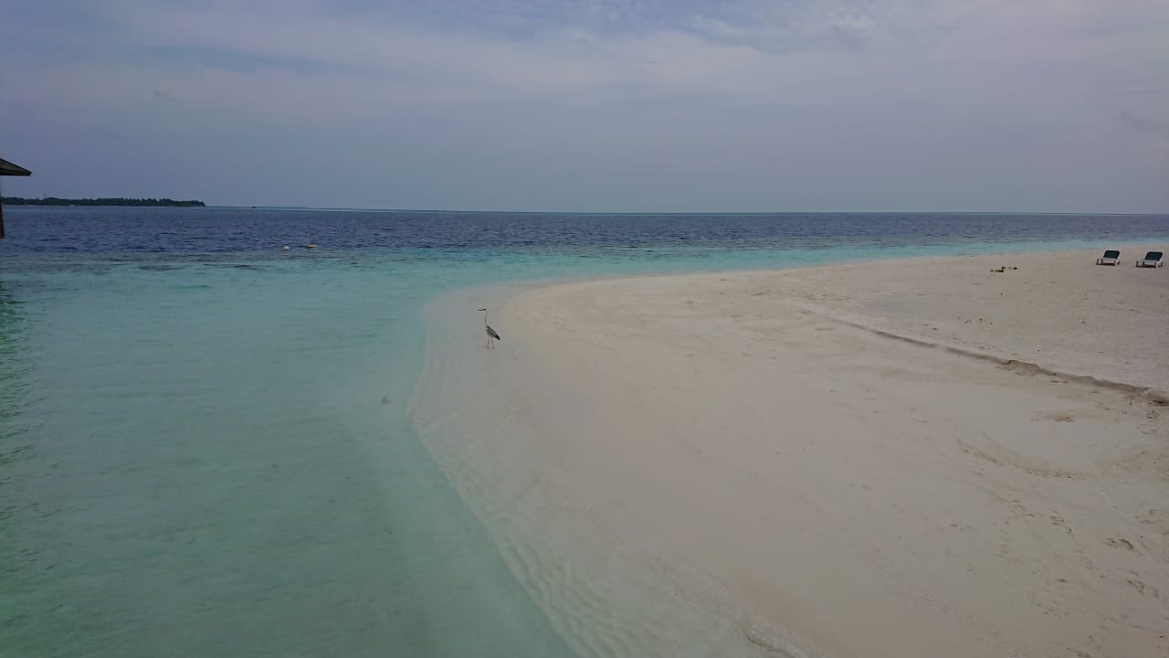 Strand Vilamendhoo Island Resort & Spa