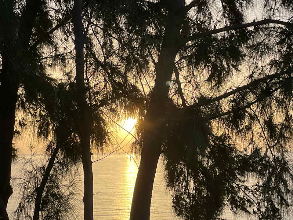 Ausblick Marina Playa Suite Hotel