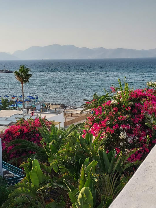 Ausblick Hotel Mastichari Beach