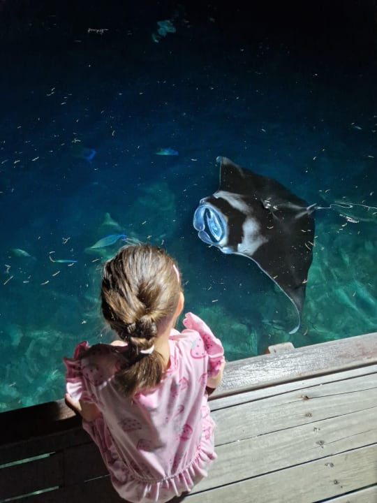 Sonstiges Sun Siyam Olhuveli