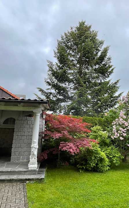 Sonstiges Möhringers Schwarzwald Hotel