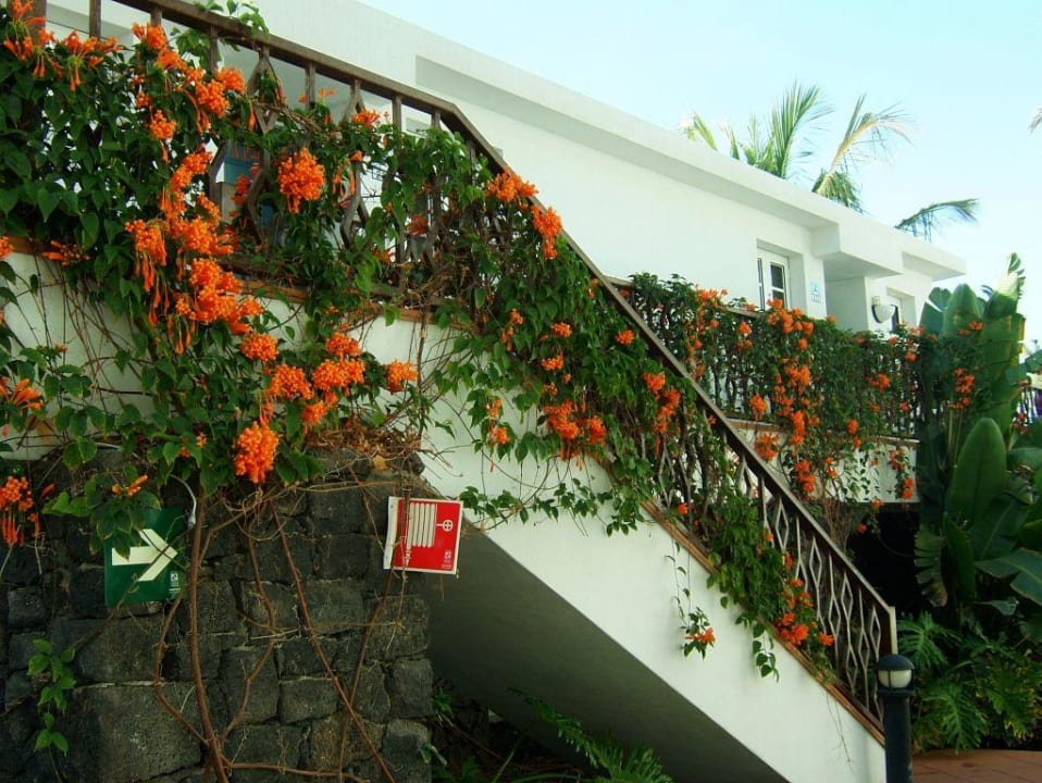 Gartenanlage, wunderschön! Plus Fariones Apartamentos