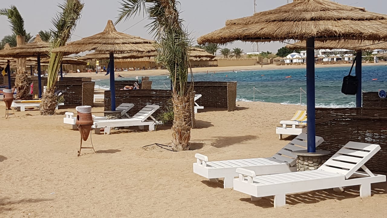 Strand Coral Sun Beach