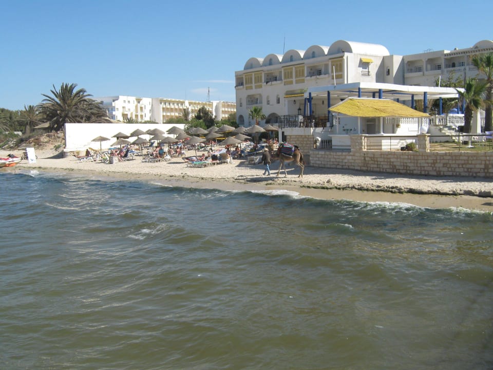 Вид с моря на пляж и на отель Alassio Hotel and Thalasso