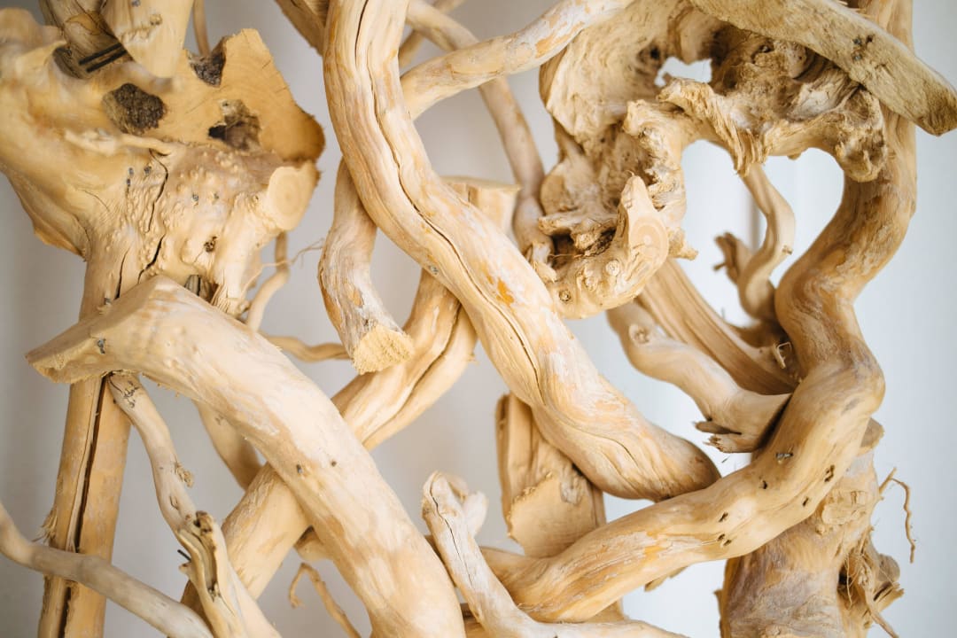 Detail living room S'Arena Bianca Apartment