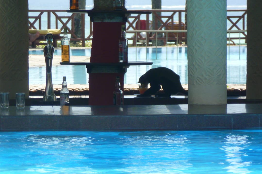 Gastro Neptune Paradise Beach Resort & Spa