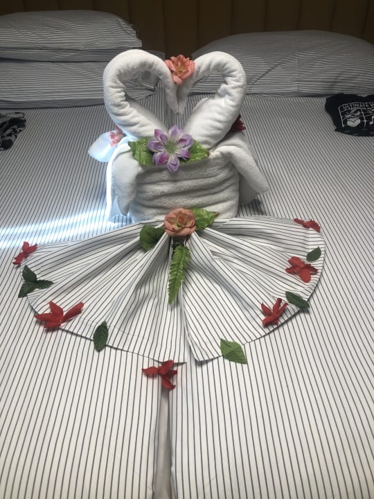 Zimmer Arum Barut Collection