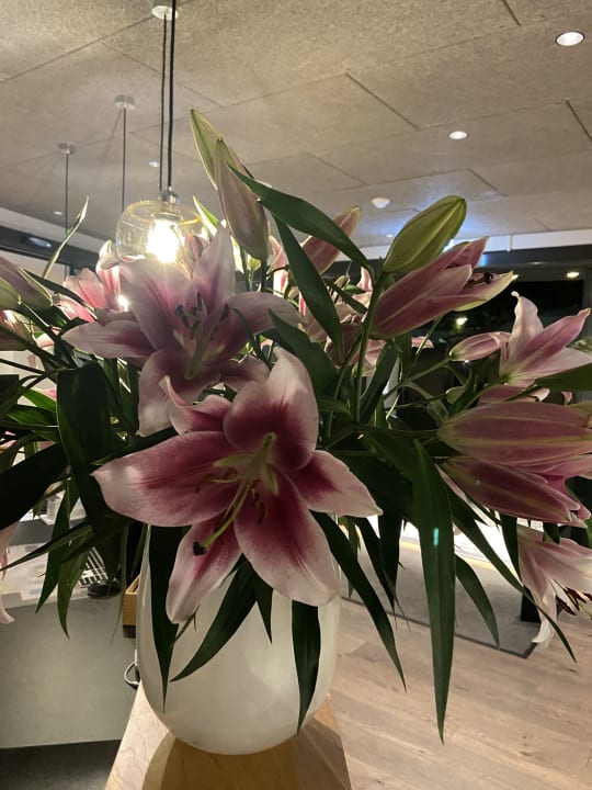 Lobby zum LOEWEN | Gasthaus & Hotel in Eimeldingen