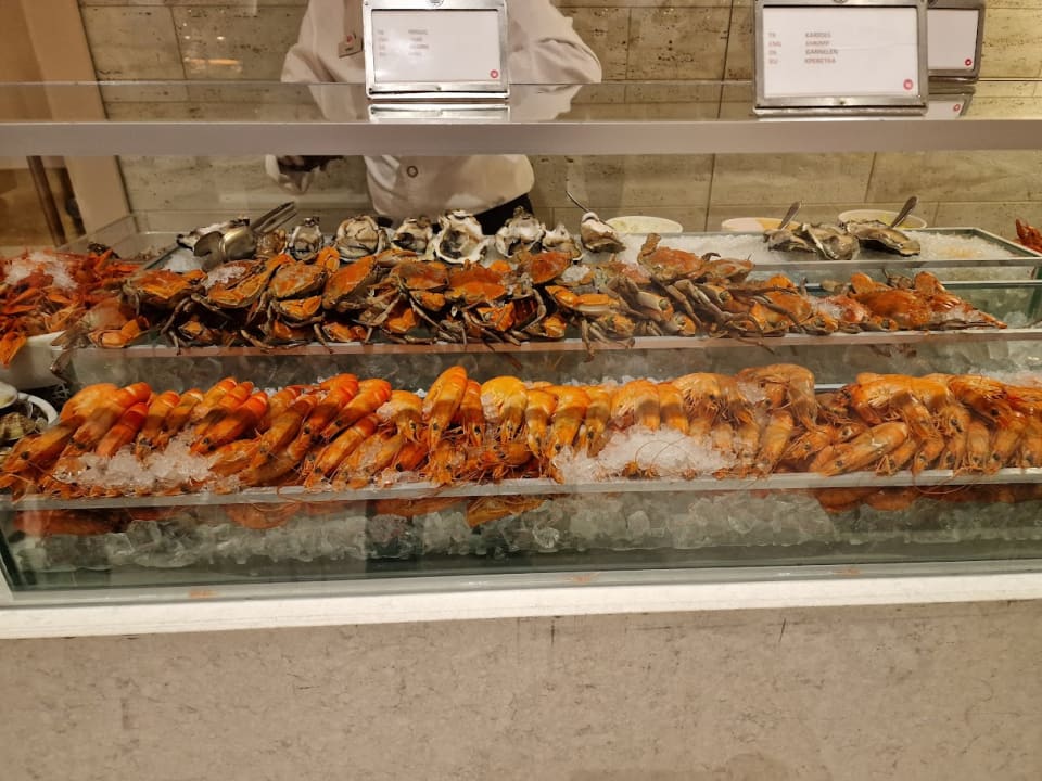 Gastro Acanthus Cennet Barut Collection