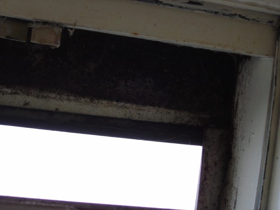 Schimmel am Fenster Zimmer 230 Der schöne Asten - Resort Winterberg