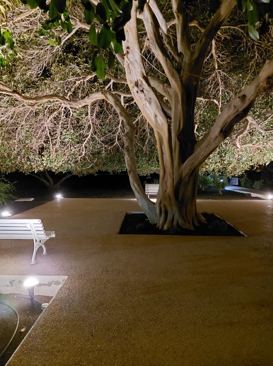 Gartenanlage Hotel Hyde Park Lane