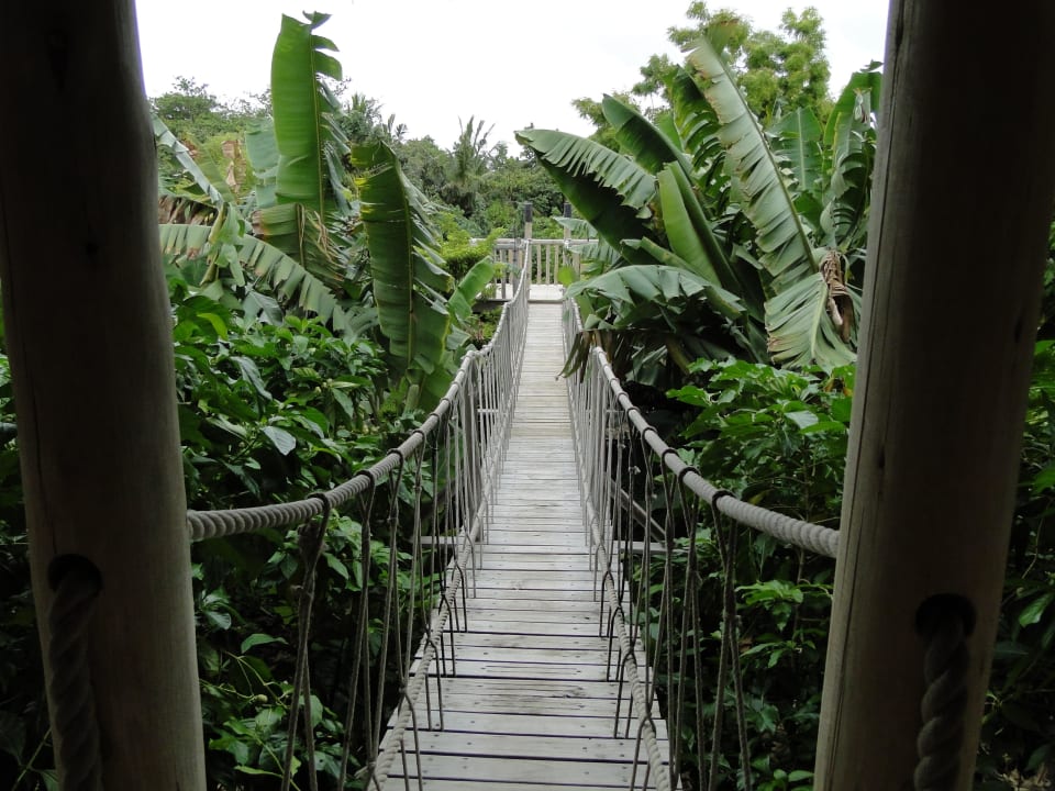 Fresh in the Garden Soneva Fushi