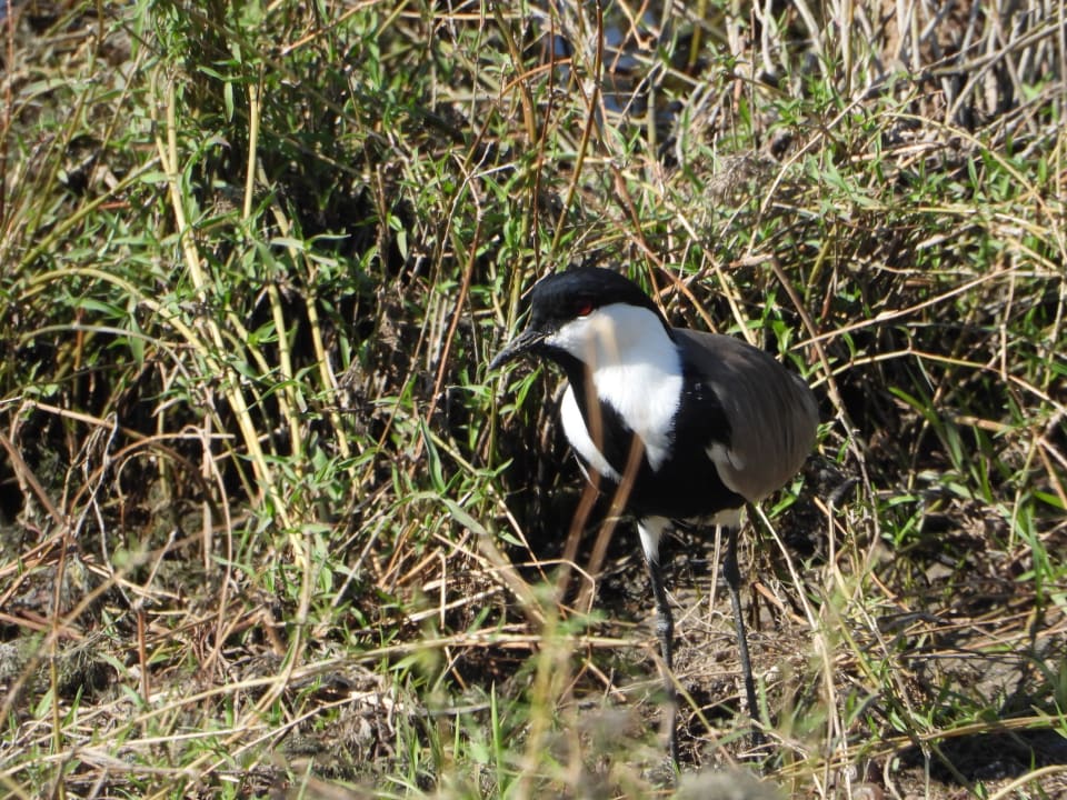 Gartenanlage Jolie Ville Kings Island Luxor
