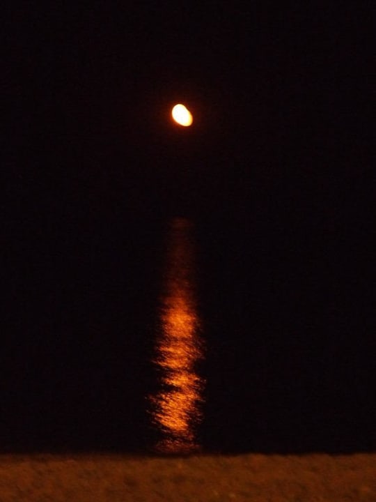 Ausblick aus dem Zimmer Richtung Obzor Sol Luna Bay