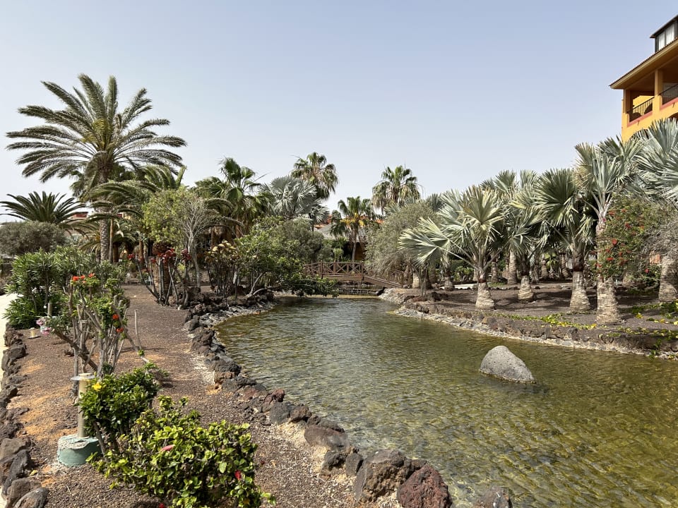 Gartenanlage Sheraton Fuerteventura Golf & Spa Resort