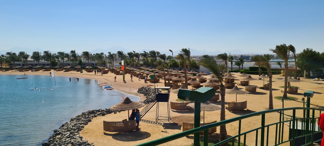 Ausblick Desert Rose