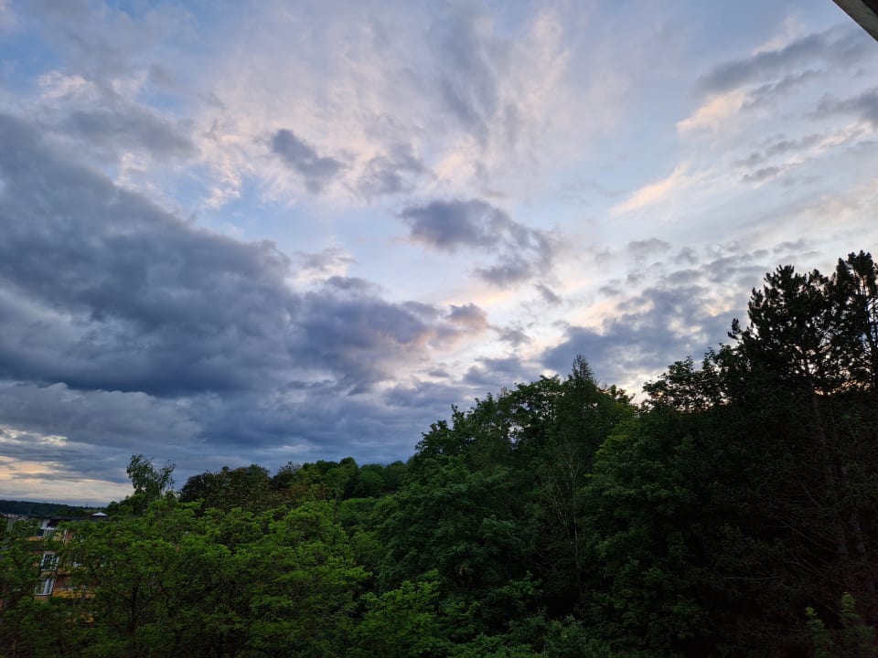 Ausblick Vitalhotel König am Park