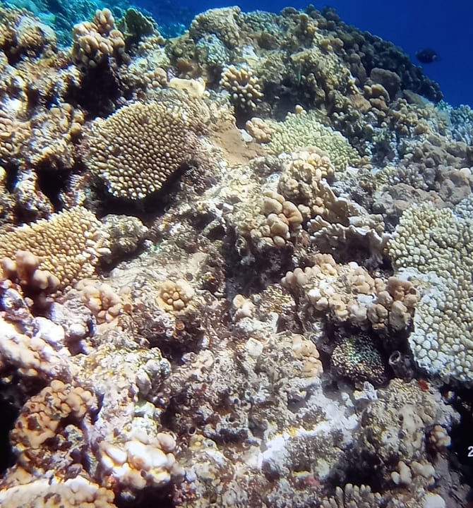 Sport & Freizeit Akassia Swiss Resort