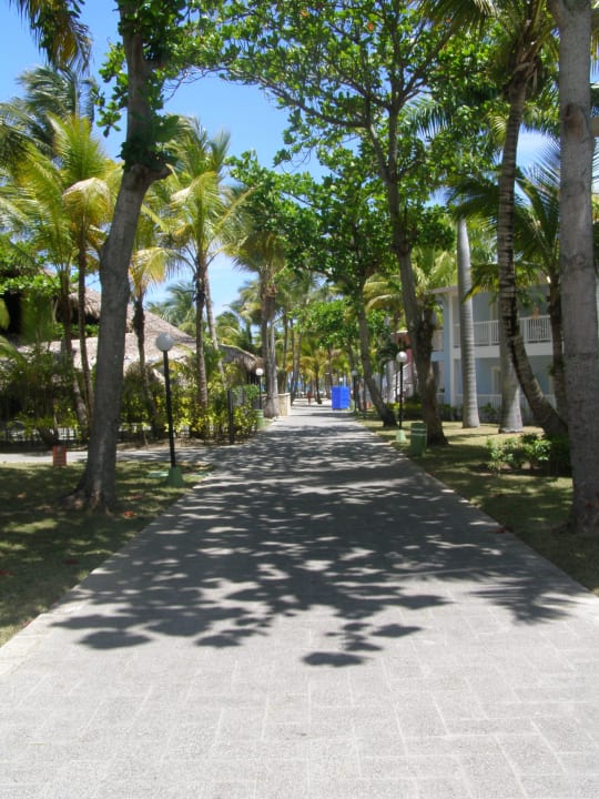 Blick zum Strand Playabachata Hotel