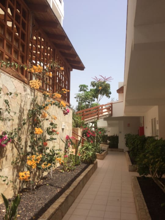 Sonstiges Marina Playa Suite Hotel