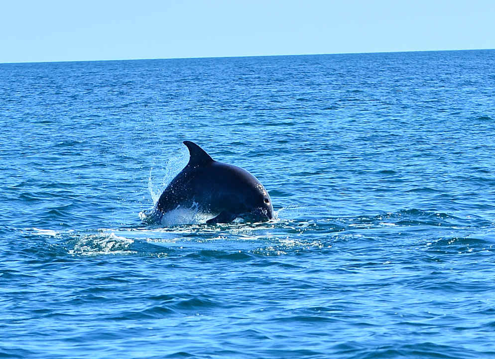 Sport & Freizeit Calimera Yati Beach