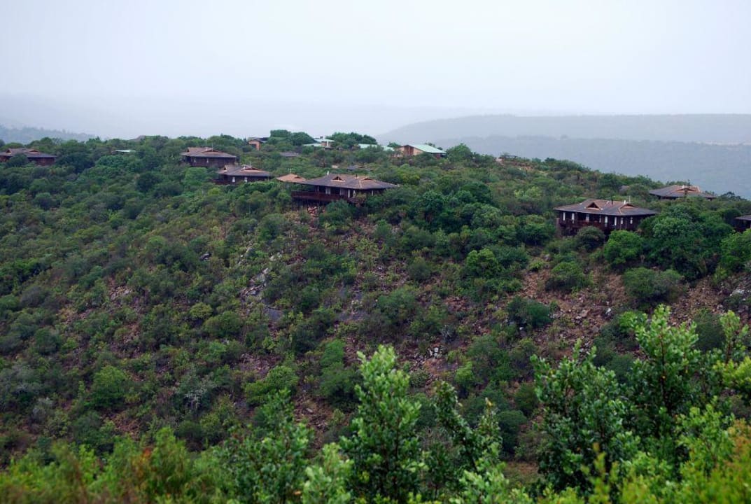 Ausblick von der Terrasse Kariega Game Reserve