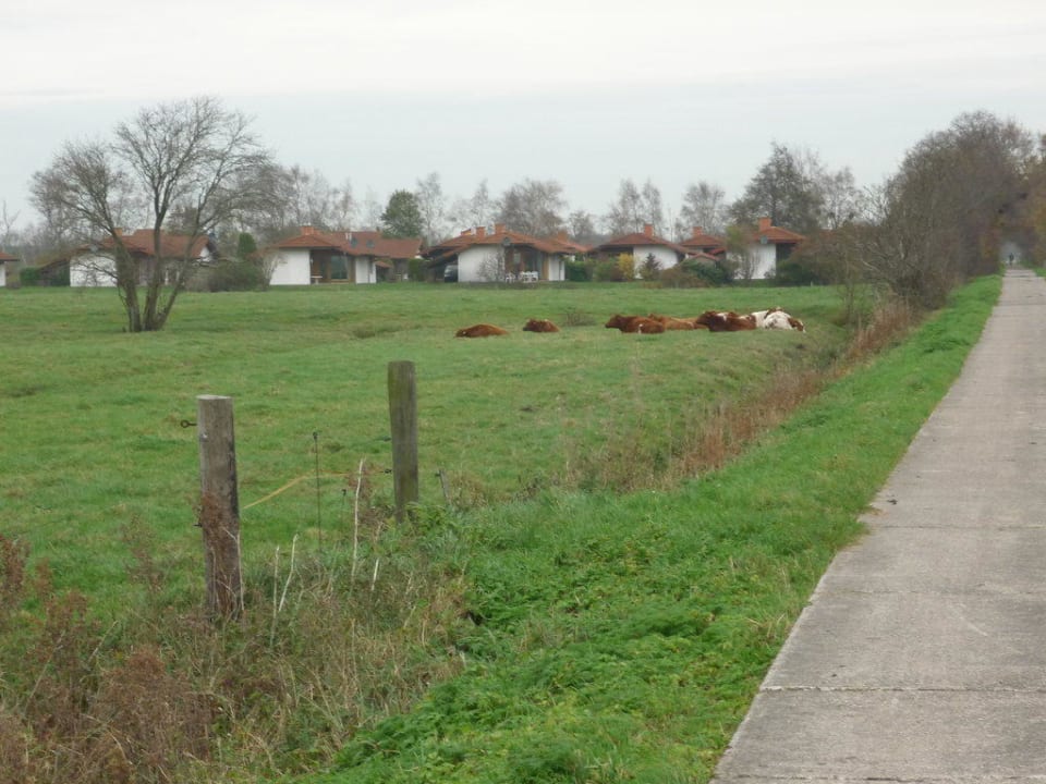 Feriendorf vom Moorweg Feriendorf Sehestedt