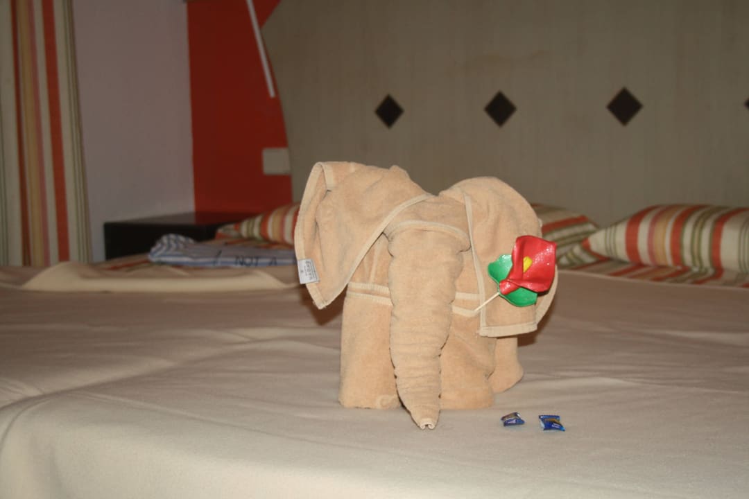 Reinigunskraft Zusatzservice SBH Hotel Taro Beach